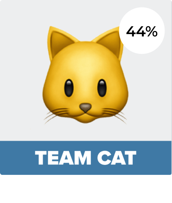 Vote for Team Cat!